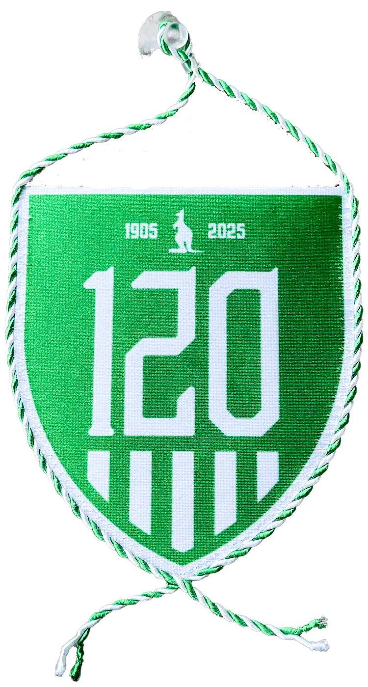 6272-vlajecka mala 120let 1